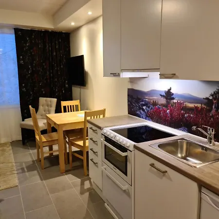 Levibooking Lost In Levi 305 Apartamento Kittilä