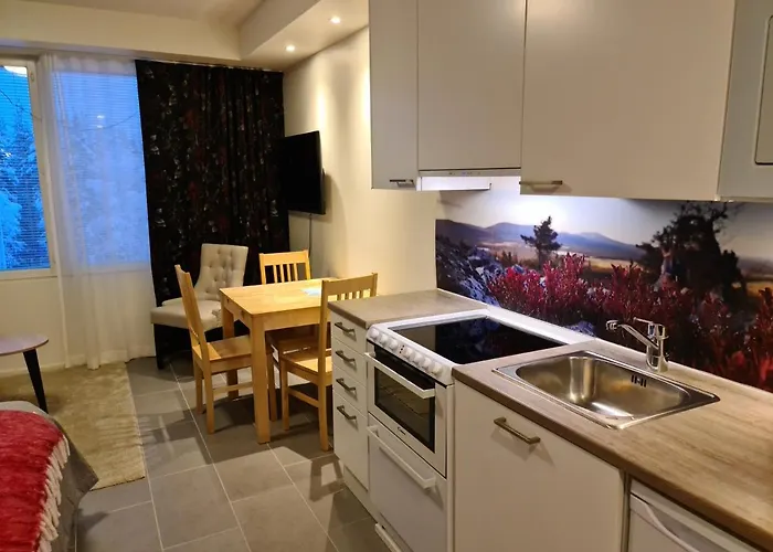 Levibooking Lost In Levi 305 Apartamento Kittilä